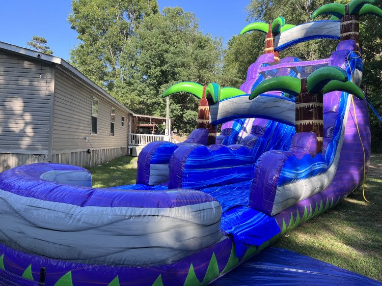 20ft Purple Crush Waterslide