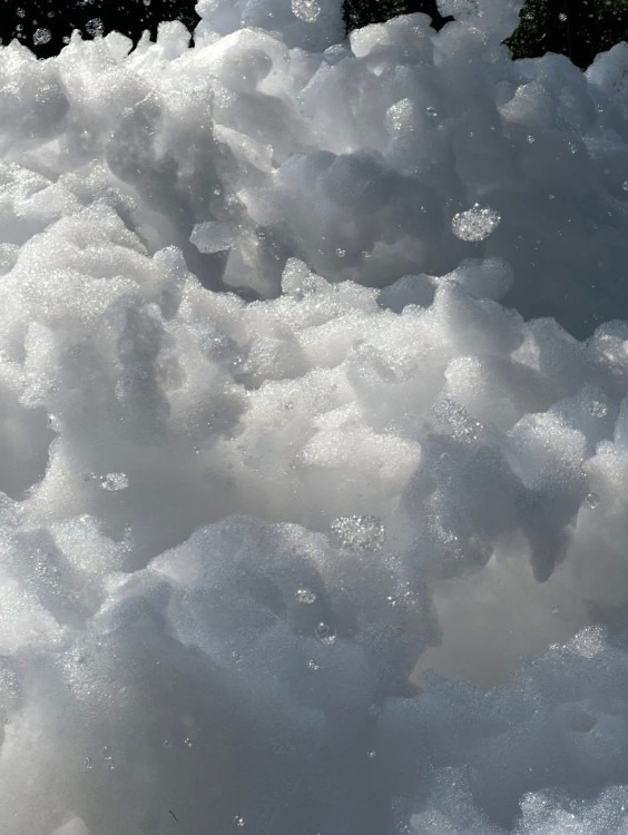 Foam Parties
